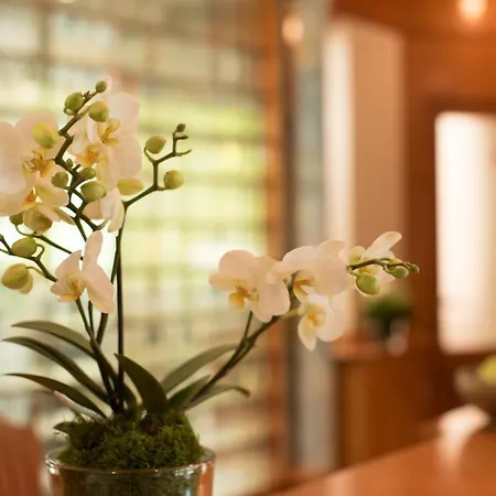Promenaden-strandhotel Marolt Hotel 3*